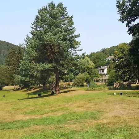 Ferienhaus Kylltal Vakantiehuis *